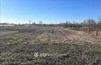 Eladó Kecskeméti egyéb mezőgazdasági ingatlan hirdetés (79692557) Eladó Kecskeméti egyéb mezőgazdasági ingatlan hirdetés (79692557)