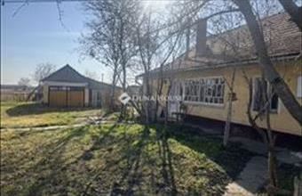 Eladó Tömörkényi tanya hirdetés (75321644)