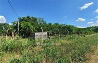 Eladó Siófoki egyéb telek hirdetés (31522559)