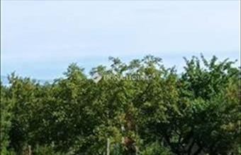 Eladó Balatonföldvári lakóövezeti telek hirdetés (47739372)