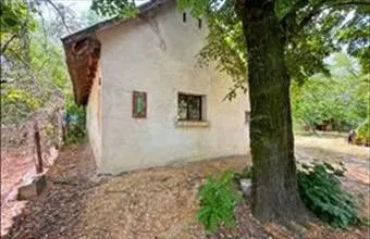Eladó Helvéciai családi ház hirdetés (97542434) Eladó Helvéciai családi ház hirdetés (97542434)