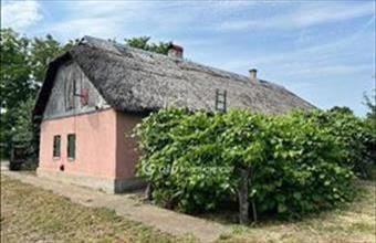 Eladó Nyírteleki tanya hirdetés (66795589)