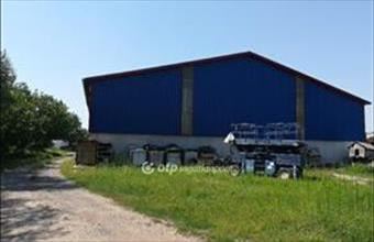 Eladó Békéscsabai fejlesztési lakóterület hirdetés (84698772)