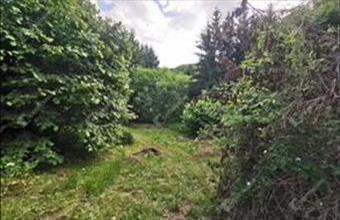 Eladó Homokkomáromi üdülőövezeti telek hirdetés (75346772)