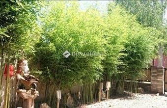 Eladó Budapest XVIII. kerületi családi ház hirdetés (98819776)