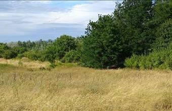 Eladó Tokodi egyéb mezőgazdasági ingatlan hirdetés (32743585)