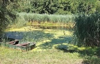 Eladó Ráckevei egyéb nyaraló hirdetés (73433796)