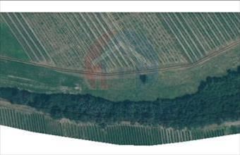 Eladó Harkai egyéb telek hirdetés (83979457)