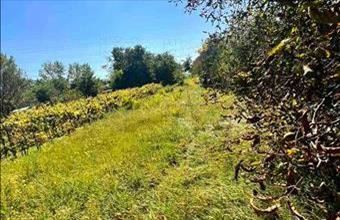 Eladó Győri zártkert hirdetés (36953794)