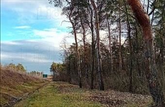 Eladó Győri egyéb mezőgazdasági ingatlan hirdetés (74137322)