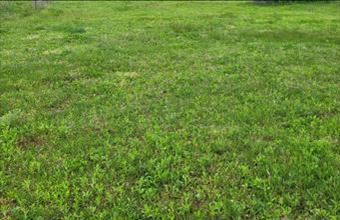 Eladó Bodonhelyi lakóövezeti telek hirdetés (45642444)