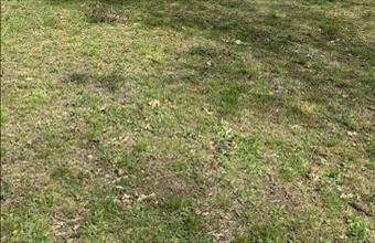 Eladó Tényői lakóövezeti telek hirdetés (13663435)