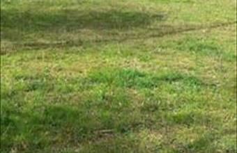 Eladó Tényői lakóövezeti telek hirdetés (13663435)