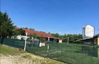 Eladó Mikei egyéb mezőgazdasági ingatlan hirdetés (56439588)