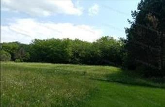 Eladó Igali zártkert hirdetés (84942557)