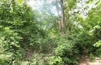 Eladó Kaposvári zártkert hirdetés (94554158)