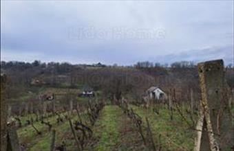 Eladó Tamási zártkert hirdetés (74925947)