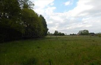 Eladó Mikei lakóövezeti telek hirdetés (43262642)