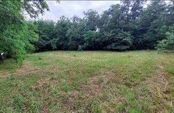 Eladó Bárdudvarnoki lakóövezeti telek hirdetés (48794791)