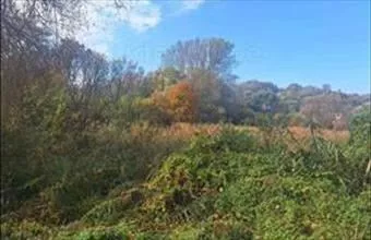 Eladó Kaposvári zártkert hirdetés (56892975)