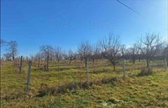 Eladó Szakcsi lakóövezeti telek hirdetés (35743299)