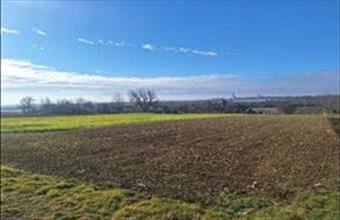 Eladó Szakcsi lakóövezeti telek hirdetés (63467676)