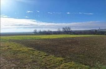 Eladó Szakcsi lakóövezeti telek hirdetés (39475389)