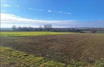 Eladó Szakcsi lakóövezeti telek hirdetés (39475389)