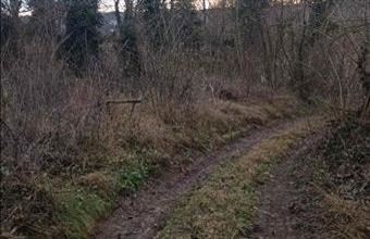 Eladó Zselickislaki családi ház hirdetés (36712159)