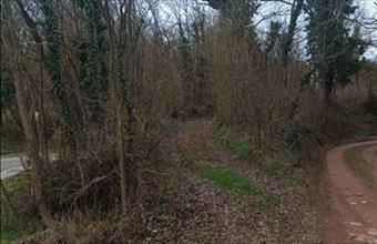 Eladó Zselickislaki családi ház hirdetés (36712159)