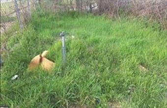 Eladó Igali lakóövezeti telek hirdetés (48454564)