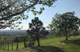 Eladó Keszthelyi lakóövezeti telek hirdetés (34613421)