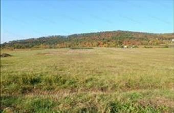 Eladó Balatongyöröki lakóövezeti telek hirdetés (13966684)