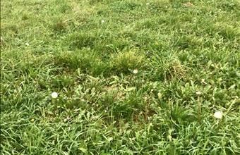 Eladó Cserszegtomaji lakóövezeti telek hirdetés (74232388)