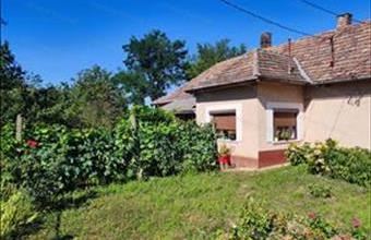 Eladó Szentpéterúri családi ház hirdetés (55497215)