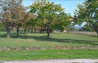 Eladó Alsópáhoki lakóövezeti telek hirdetés (43337543)