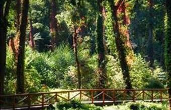 Eladó Keszthelyi egyéb mezőgazdasági ingatlan hirdetés (39492749)