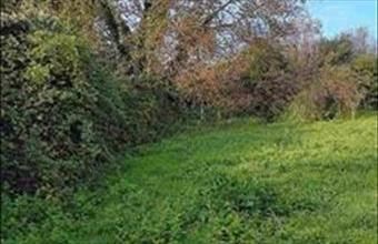 Eladó Zalaszántói lakóövezeti telek hirdetés (49955592)