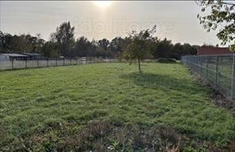 Eladó Balatongyöröki lakóövezeti telek hirdetés (86984273)