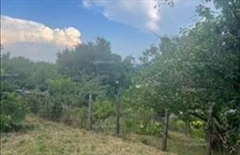 Eladó Hévízi lakóövezeti telek hirdetés (24543699)