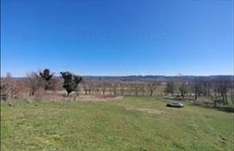 Eladó Zalacsányi zártkert hirdetés (24831872)