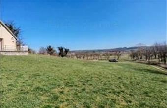 Eladó Zalacsányi zártkert hirdetés (24831872)