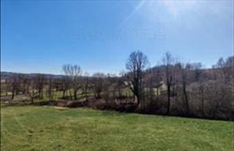 Eladó Zalacsányi zártkert hirdetés (24831872)