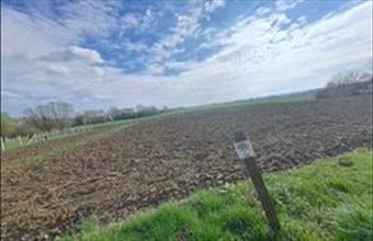 Eladó Felsőrajki egyéb mezőgazdasági ingatlan hirdetés (52759637)