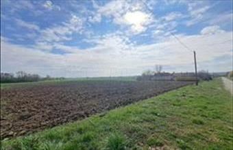 Eladó Felsőrajki egyéb mezőgazdasági ingatlan hirdetés (52759637)