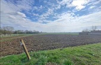 Eladó Felsőrajki egyéb mezőgazdasági ingatlan hirdetés (52759637)