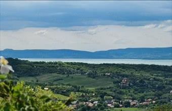 Eladó Kőröshegyi lakóövezeti telek hirdetés (53425334)