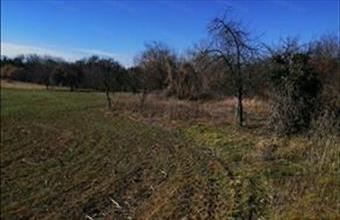 Eladó Balatonszárszói lakóövezeti telek hirdetés (37367334)