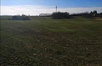 Eladó Balatonszárszói lakóövezeti telek hirdetés (37367334)