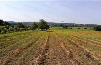 Eladó Kőröshegyi lakóövezeti telek hirdetés (53787173)